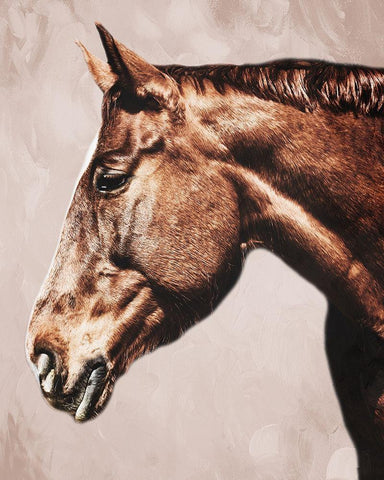 Marching Steed 2 White Modern Wood Framed Art Print with Double Matting by Prime, Marcus