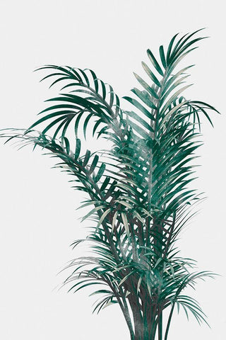 Windy Fern Black Ornate Wood Framed Art Print with Double Matting by Prime, Marcus