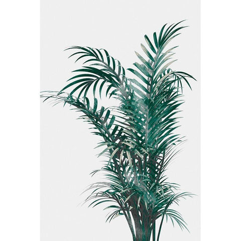 Windy Fern Black Modern Wood Framed Art Print with Double Matting by Prime, Marcus