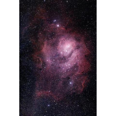 Lagoon Nebula Gold Ornate Wood Framed Art Print with Double Matting by Prime, Marcus