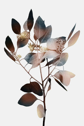 Autumn Eucalyptus 1 White Modern Wood Framed Art Print with Double Matting by Prime, Marcus
