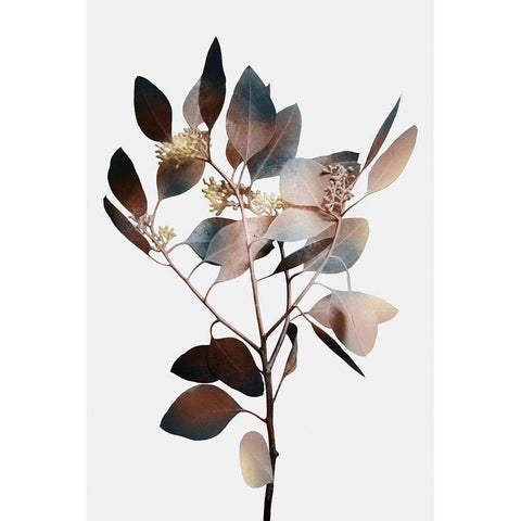 Autumn Eucalyptus 1 Gold Ornate Wood Framed Art Print with Double Matting by Prime, Marcus