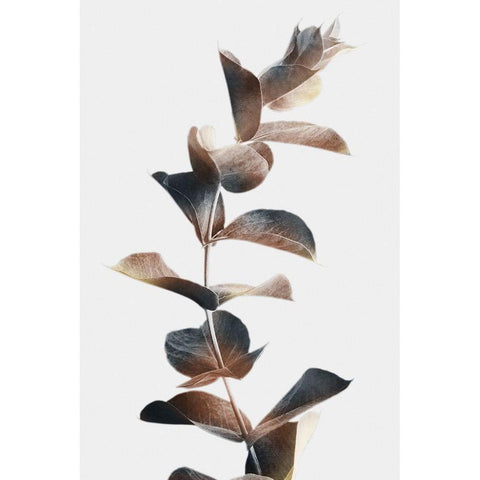 Autumn Eucalyptus 2 Gold Ornate Wood Framed Art Print with Double Matting by Prime, Marcus