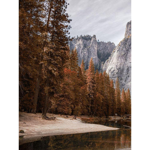 Relaxing Hike 1 Gold Ornate Wood Framed Art Print with Double Matting by Prime, Marcus