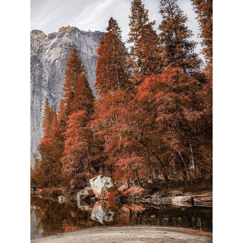 Relaxing Hike 2 Black Modern Wood Framed Art Print by Prime, Marcus