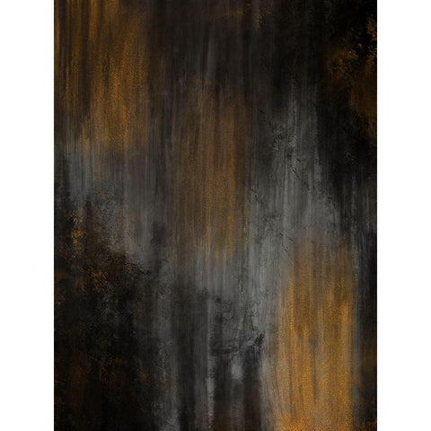 Dark Reflection Gold Ornate Wood Framed Art Print with Double Matting by Prime, Marcus