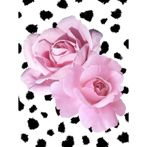 Dalmatian Roses Black Modern Wood Framed Art Print by Prime, Marcus