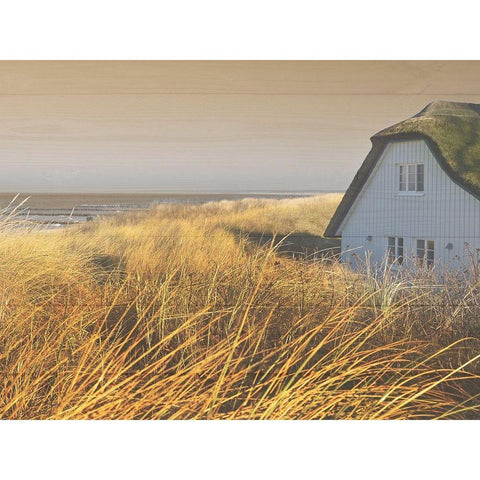 Peaceful Cottage Gold Ornate Wood Framed Art Print with Double Matting by Prime, Marcus