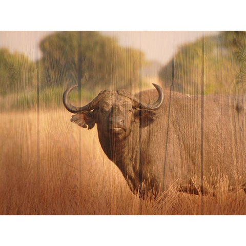 Strolling Fella Black Modern Wood Framed Art Print by Prime, Marcus