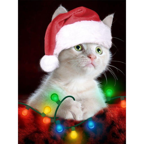 Christmas Kitten Black Modern Wood Framed Art Print by Prime, Marcus