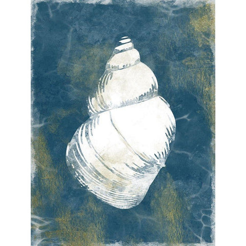 Ocean Miracles 5 White Modern Wood Framed Art Print by Prime, Marcus