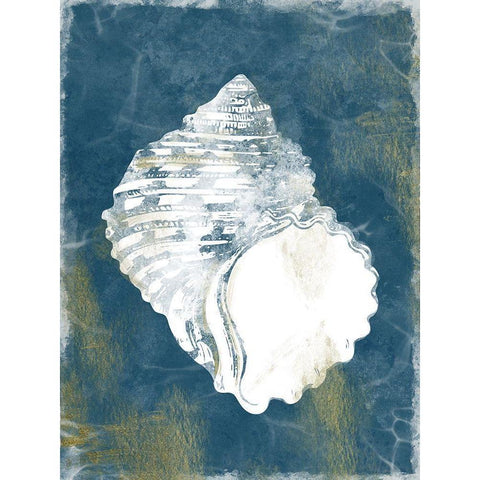 Ocean Miracles 6 White Modern Wood Framed Art Print by Prime, Marcus