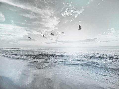 Sea Graced 1 White Modern Wood Framed Art Print with Double Matting by Prime, Marcus