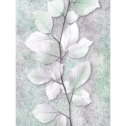 Spring Beauty 2 White Modern Wood Framed Art Print by Prime, Marcus