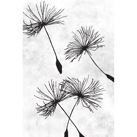 Dandelion Flight 1 Black Modern Wood Framed Art Print with Double Matting by Prime, Marcus