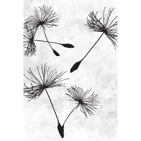 Dandelion Flight 2 Black Modern Wood Framed Art Print with Double Matting by Prime, Marcus