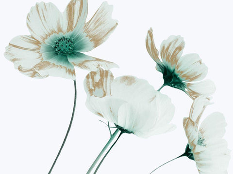 Jaded Metallic 1 Black Ornate Wood Framed Art Print with Double Matting by Prime, Marcus