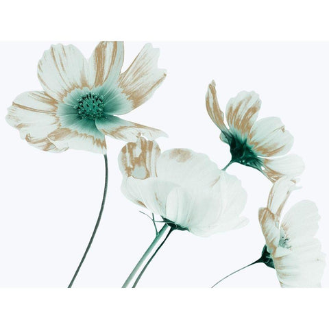 Jaded Metallic 1 White Modern Wood Framed Art Print by Prime, Marcus