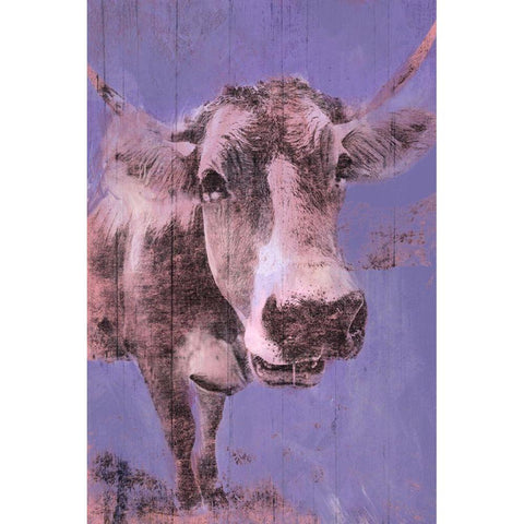 Barnyard Stare 2 White Modern Wood Framed Art Print by Prime, Marcus