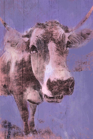 Barnyard Stare 2 Black Ornate Wood Framed Art Print with Double Matting by Prime, Marcus