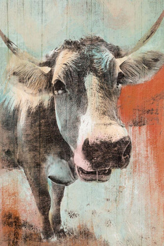 Barnyard Stare Black Ornate Wood Framed Art Print with Double Matting by Prime, Marcus