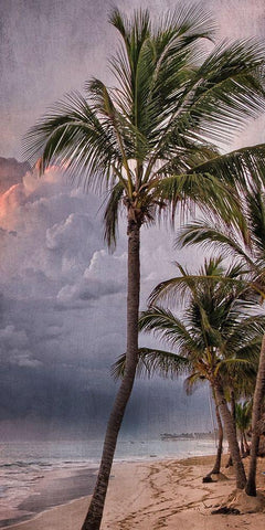 Morning Sea Breeze White Modern Wood Framed Art Print with Double Matting by Prime, Marcus