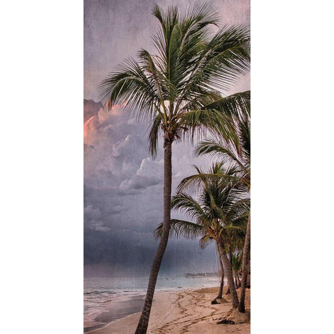 Morning Sea Breeze Black Modern Wood Framed Art Print by Prime, Marcus