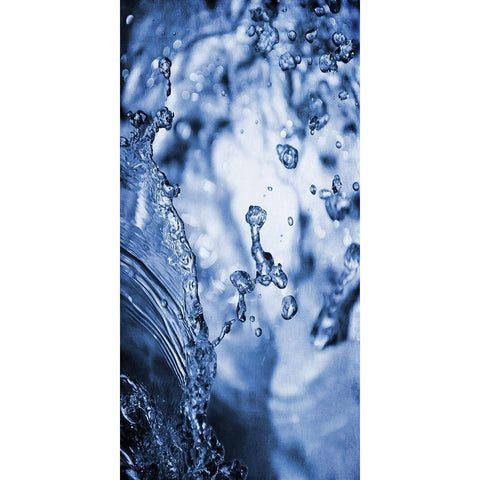 Aqua Droplets 1 Gold Ornate Wood Framed Art Print with Double Matting by Prime, Marcus