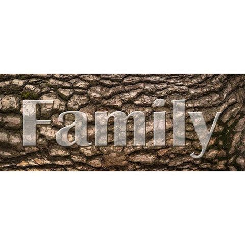 Family Bark Black Modern Wood Framed Art Print with Double Matting by Prime, Marcus