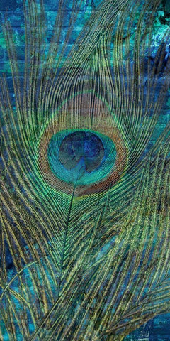Metropolitan Peacock 1 Black Ornate Wood Framed Art Print with Double Matting by Prime, Marcus