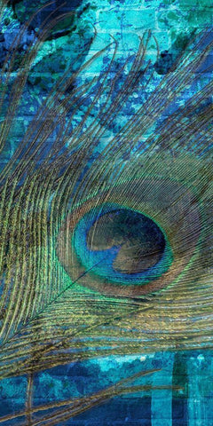Metropolitan Peacock 2 Black Ornate Wood Framed Art Print with Double Matting by Prime, Marcus
