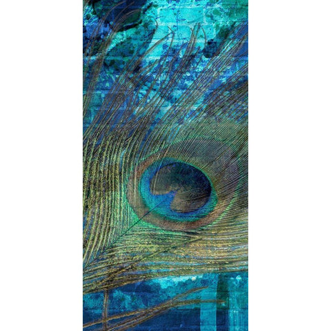 Metropolitan Peacock 2 Black Modern Wood Framed Art Print with Double Matting by Prime, Marcus