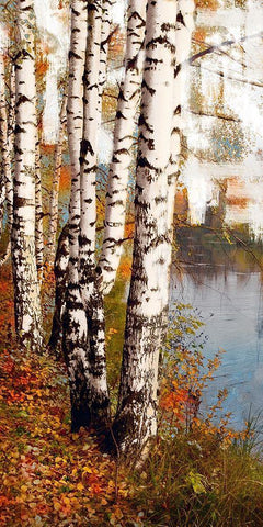 Summer Birch 1 White Modern Wood Framed Art Print with Double Matting by Prime, Marcus