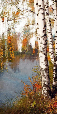 Summer Birch 2 White Modern Wood Framed Art Print with Double Matting by Prime, Marcus