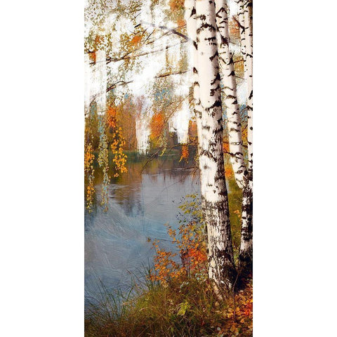 Summer Birch 2 Black Modern Wood Framed Art Print by Prime, Marcus