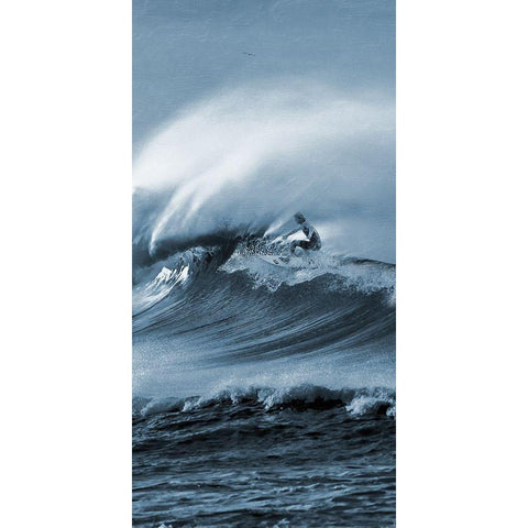 Brilliant Surf 1 Gold Ornate Wood Framed Art Print with Double Matting by Prime, Marcus