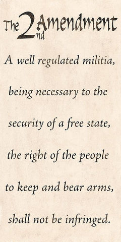 Rights To Bear 2 Black Ornate Wood Framed Art Print with Double Matting by Prime, Marcus