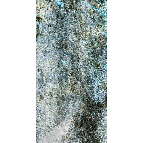 Urban Taint 1 Black Modern Wood Framed Art Print by Prime, Marcus