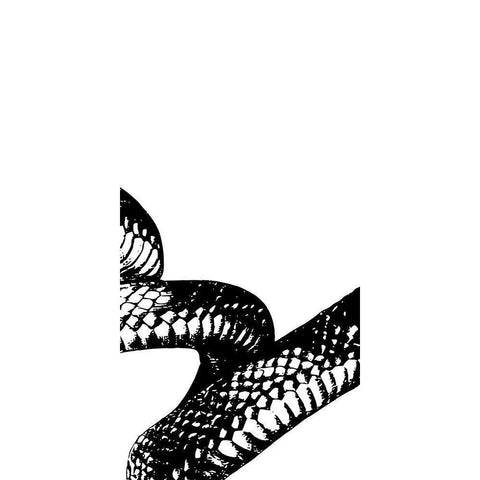 Snake Bite 2 Black Modern Wood Framed Art Print with Double Matting by Prime, Marcus