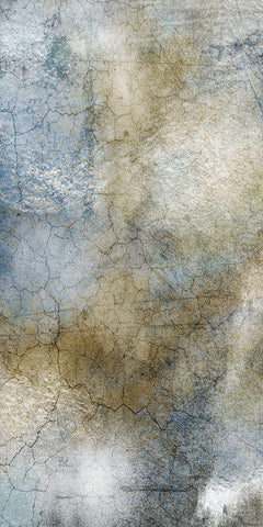 Fractured Cerebellum 2 White Modern Wood Framed Art Print with Double Matting by Prime, Marcus