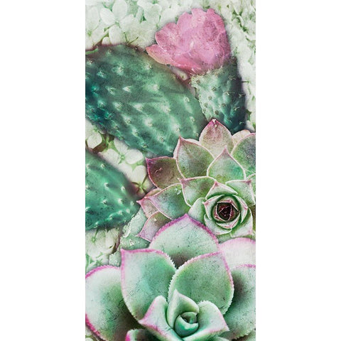 Springtime Succulents 3 Black Modern Wood Framed Art Print by Prime, Marcus