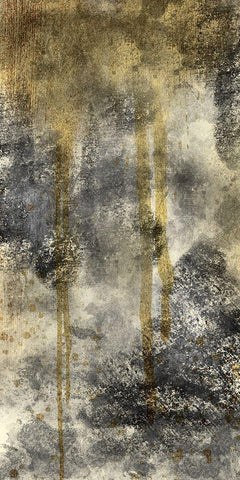 Industrial Splash 1 Black Ornate Wood Framed Art Print with Double Matting by Prime, Marcus