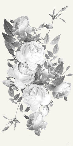 Incognito Florals White Modern Wood Framed Art Print with Double Matting by Prime, Marcus