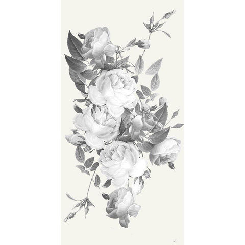 Incognito Florals Black Modern Wood Framed Art Print by Prime, Marcus