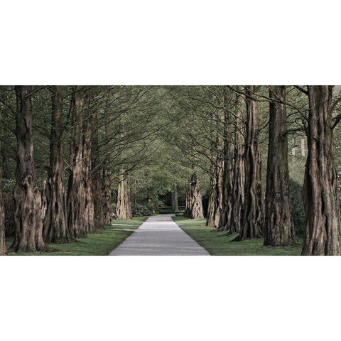 Freedom Road 2 Black Modern Wood Framed Art Print by Prime, Marcus