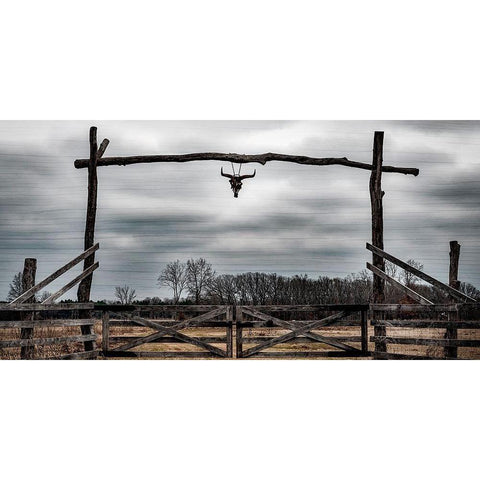 Cattle Ranch White Modern Wood Framed Art Print by Prime, Marcus