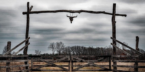 Cattle Ranch Black Ornate Wood Framed Art Print with Double Matting by Prime, Marcus