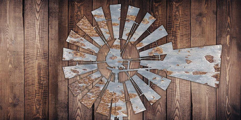 Rusty Windmill Black Ornate Wood Framed Art Print with Double Matting by Prime, Marcus