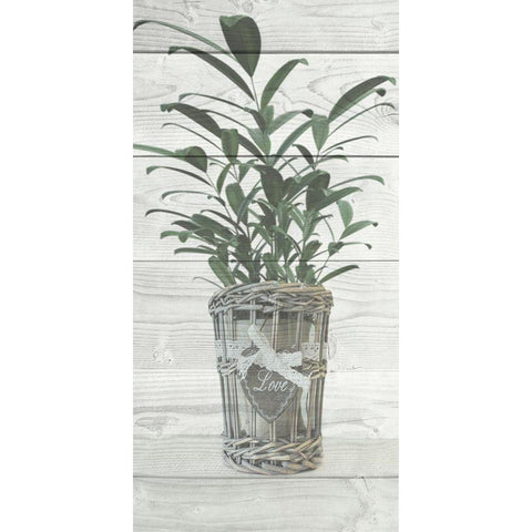 Loving Plant Black Modern Wood Framed Art Print with Double Matting by Prime, Marcus
