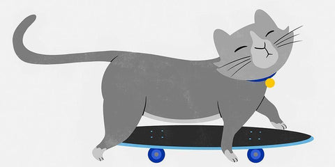 Skateboarding Cat White Modern Wood Framed Art Print with Double Matting by Prime, Marcus